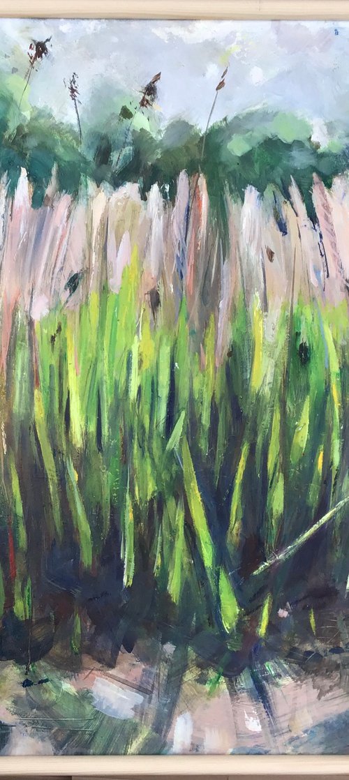 Reeds by Sandra Haney