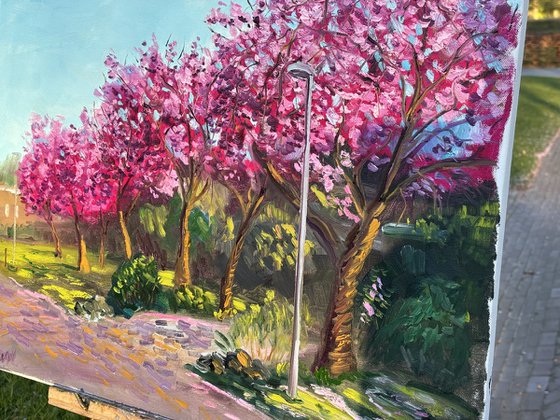 Spring Sakura Alley Plein Air