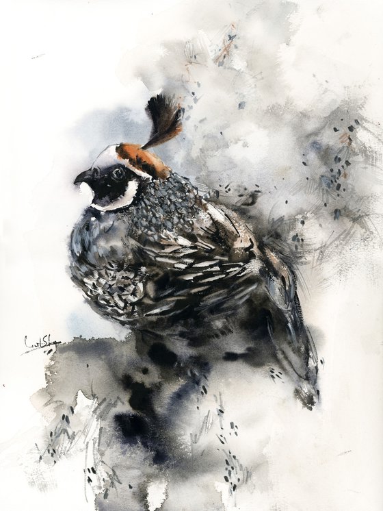 The Pheasant