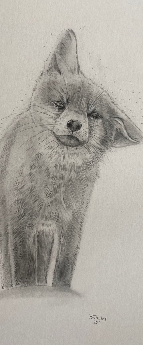 The wet fox by Bethany Taylor