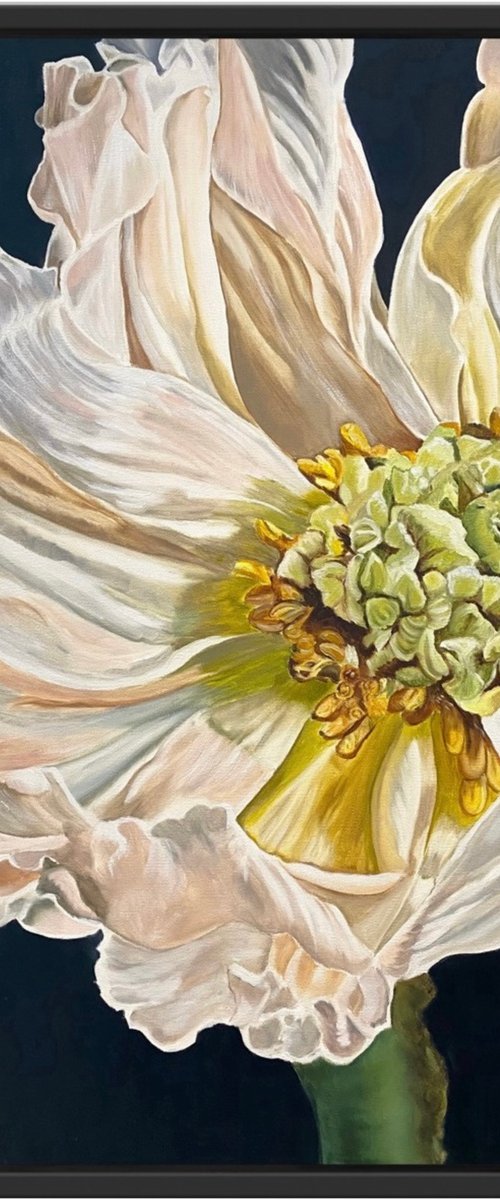 Poppies Heart by Wendy Peters