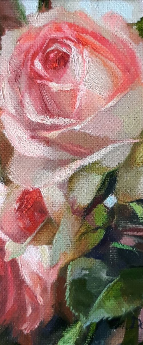 Roses flowers garden by Nataly Derevyanko