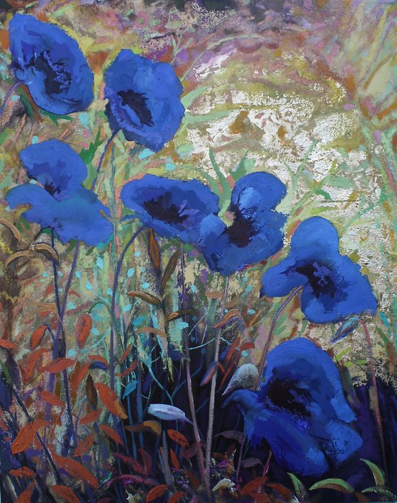 Among Blue Poppies II