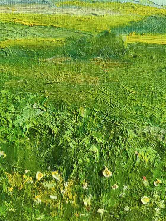 Field of wildflowers