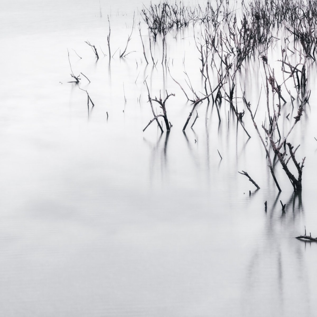 Impressionistic Landscape Photograph By Karim Carella, 35 X 35", White Italian Scape #2, Original Artwork