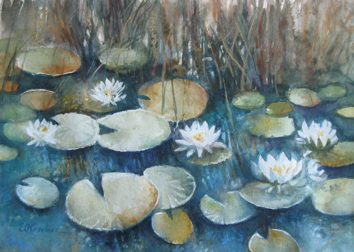 Impressionistic Landscape Painting By Elena Oleniuc, 17 X 13, White Waterlilies, Original Artwork