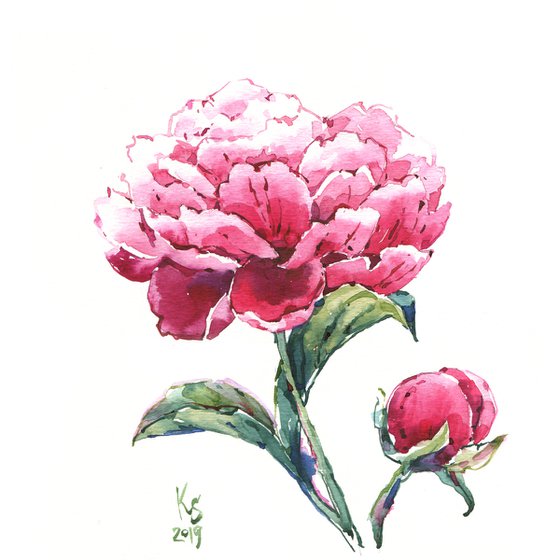 "Peony flower" original botanical watercolor square format