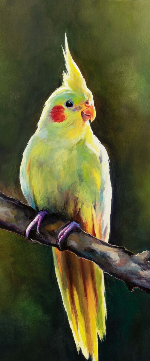 Yellow cockatiel on a branch by Lucia Verdejo