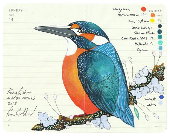 Birds of Europe: Kingfisher Looking Left
