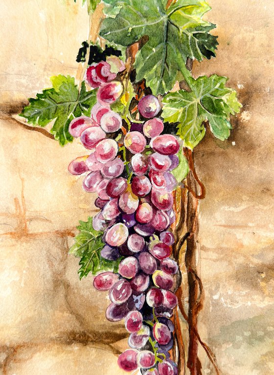 Whispers Through the Wall – Grapevine