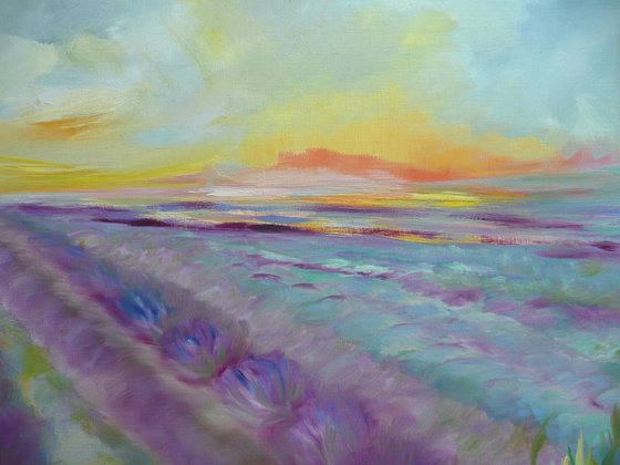 Lavender Fields 2026