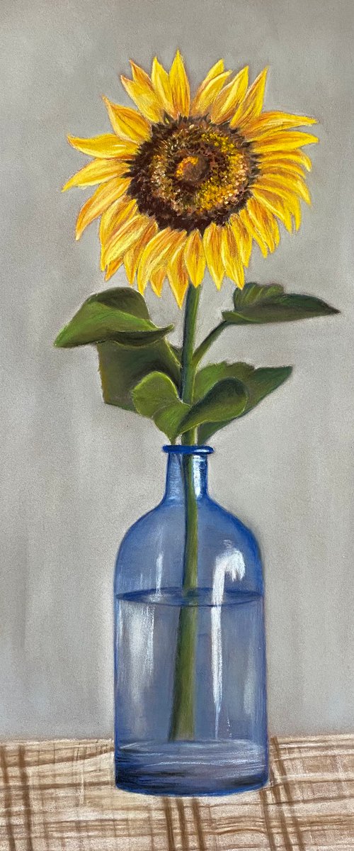 Sunflower by Maxine Taylor