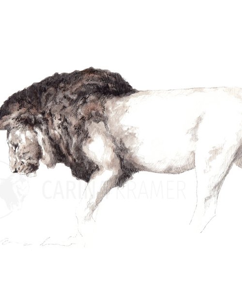Lion Walk by Carina Kramer