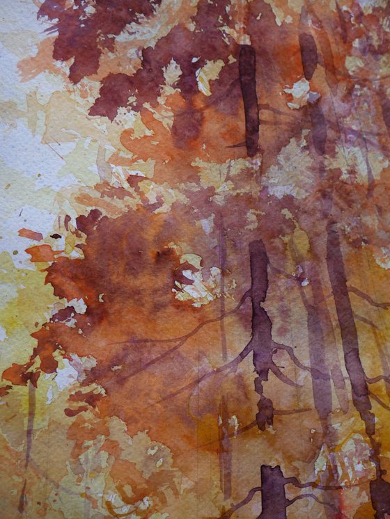 Magical autumn in Japan