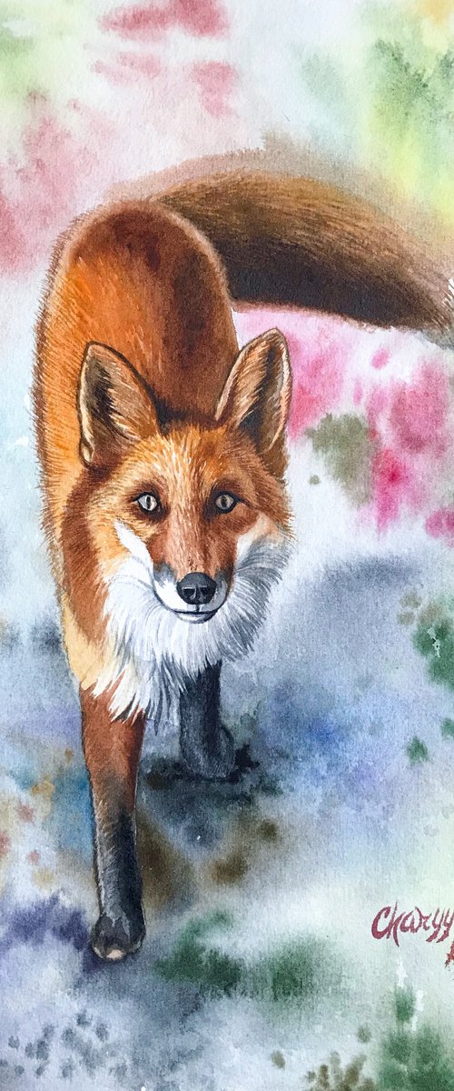 Bright Fox by Kakajan Charyyev