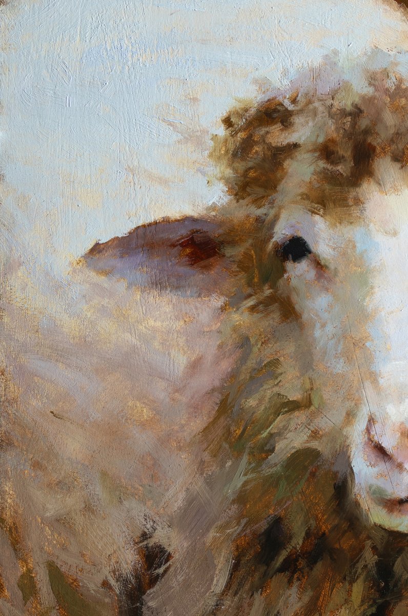 Impressionistic Animal Oil Painting By Rostyslav Malysh, 12 X 18", "Ewe In Stillness", Original Artwork