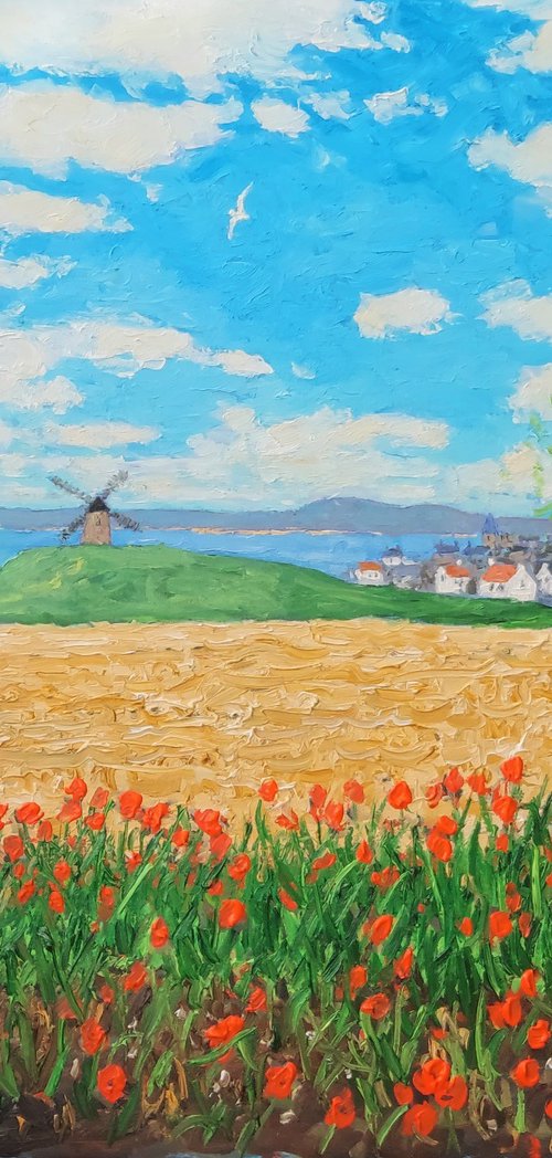 Wild poppies, with windmill by Colin Ross Jack