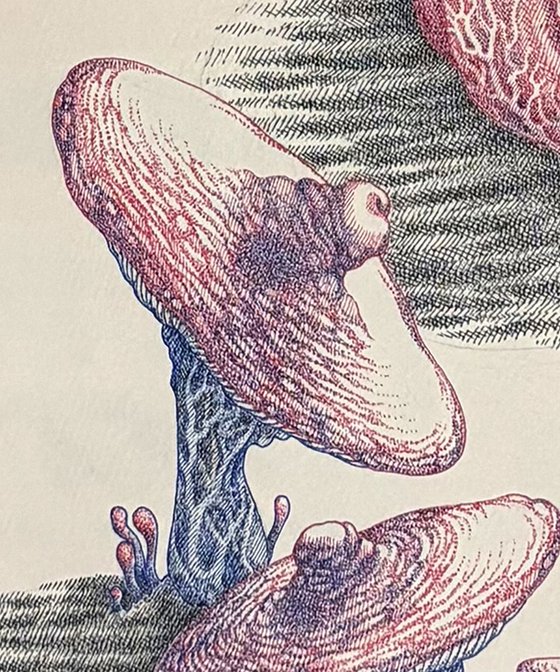 Gastropoda eroticum