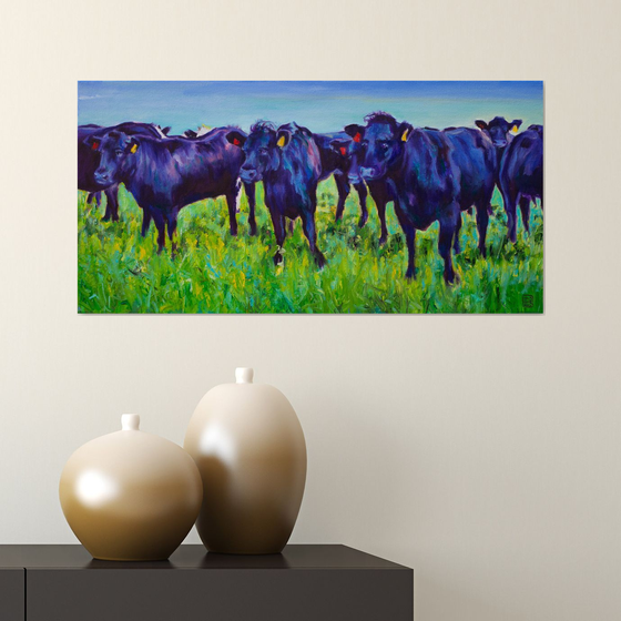 Black Angus Beauties