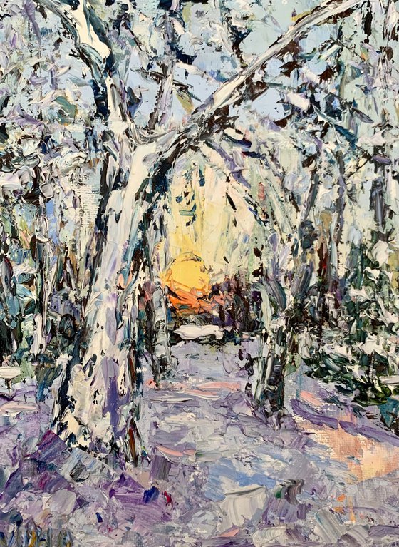 Sunset in winter forest