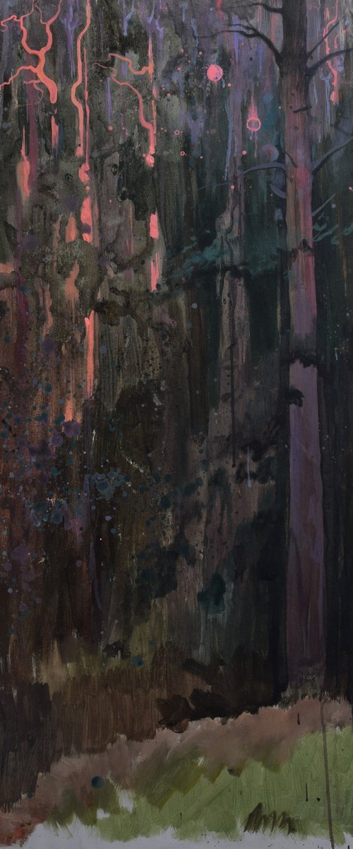 The last rays of the sun by Hannah Barlag