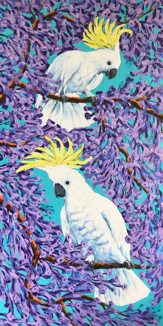 Cockatoos and Jacaranda