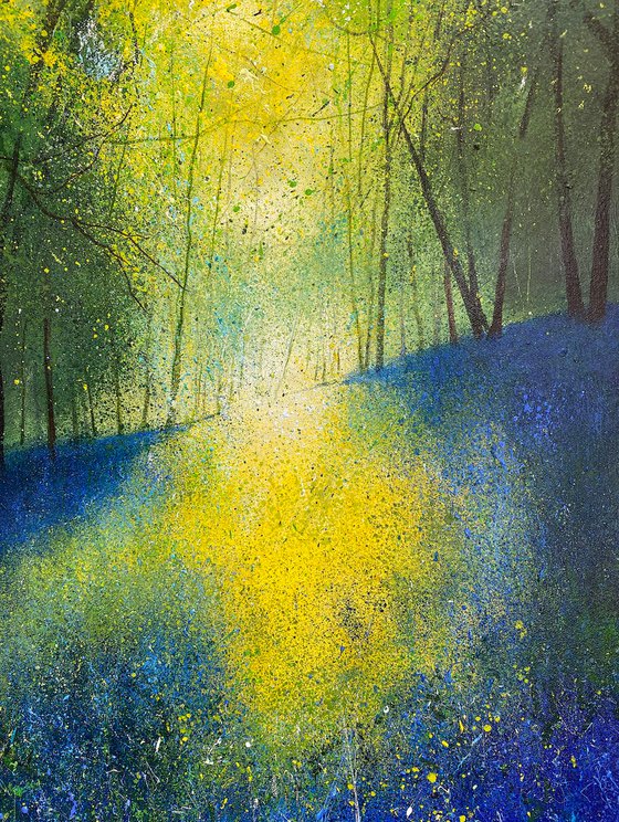 Spring, Light Through Bluebell Woodland