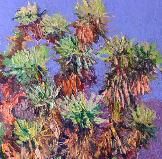 Joshua Trees. Sunny Day