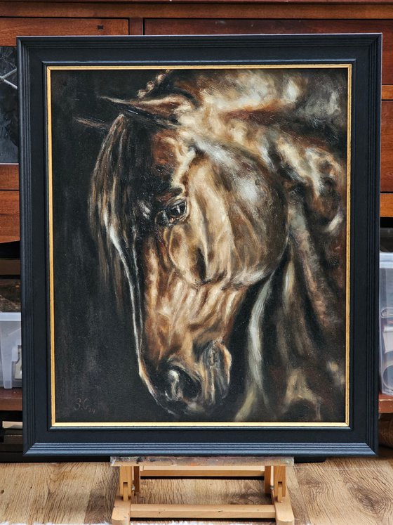 Stallion-Original Horse Portrait