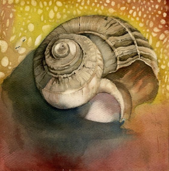 shell watercolor
