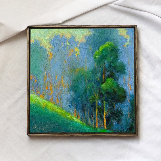 Morning in the Forest