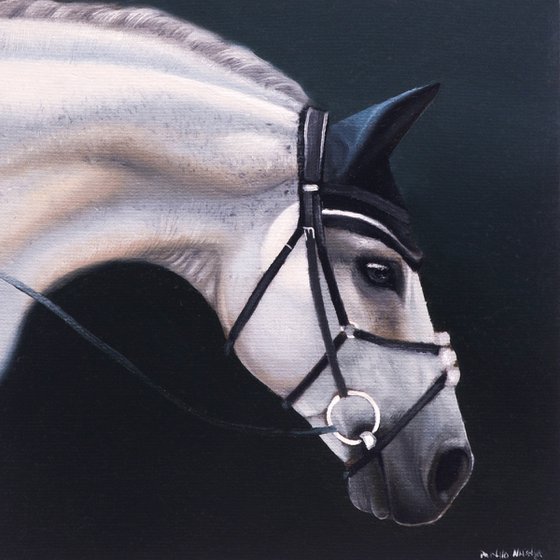 Horse Portrait 6