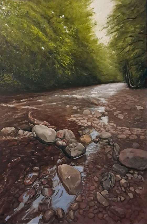 The Riverbank (River Taff)