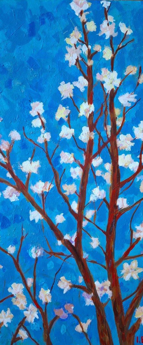 Sakura blossom by ONE AIR ART STUDIO