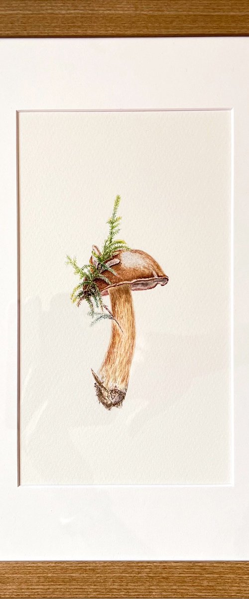 Pretty Mushroom by Tetiana Kovalova