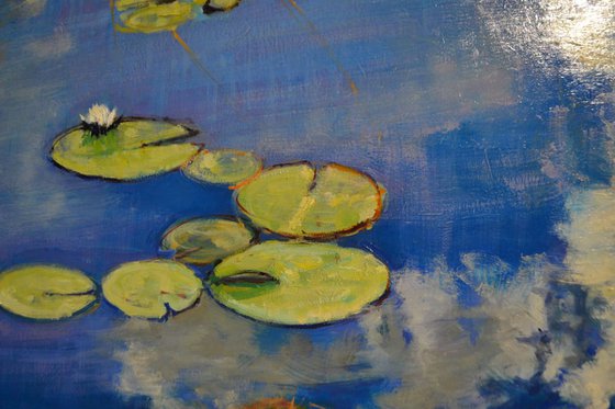 Waterlilies