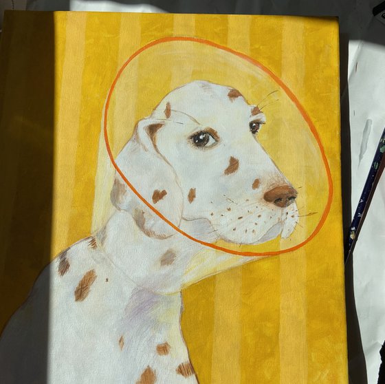 Dalmatian portrait