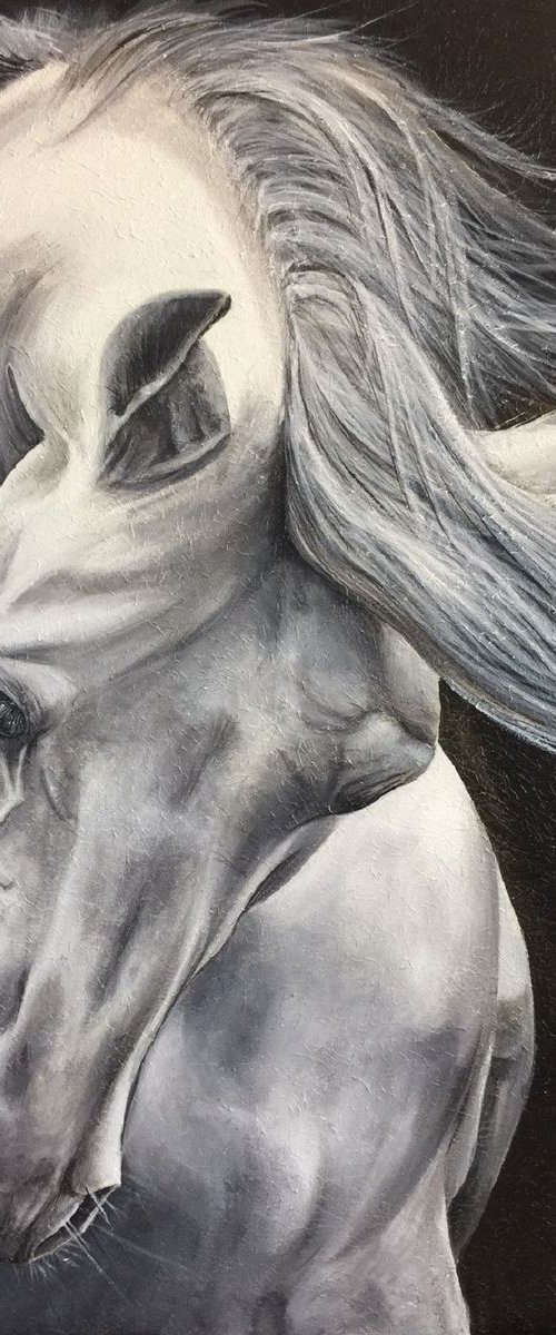 Horse by Eka Peradze