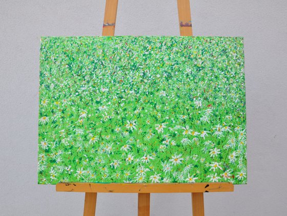 Daisies In The Grass acryl