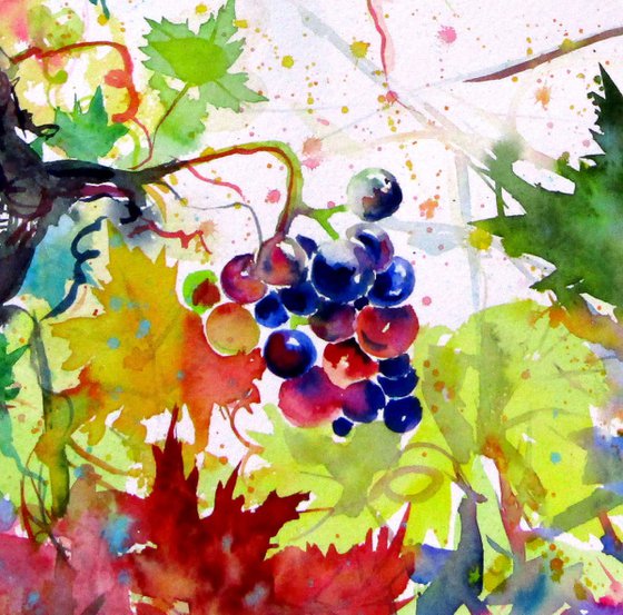 Lovely autumn - grapes