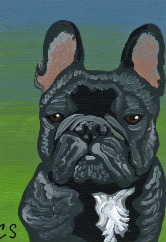 French Bulldog