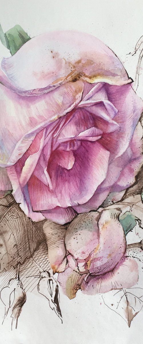 Rosehip. Pink wild rose painting. by Natalia Veyner
