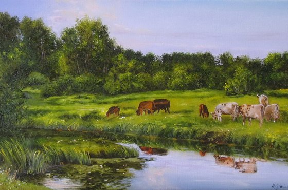 Cows by the River Meadow