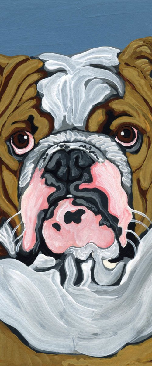 English Bulldog by Carla Smale