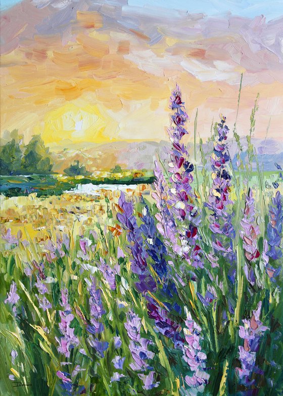 Lupines