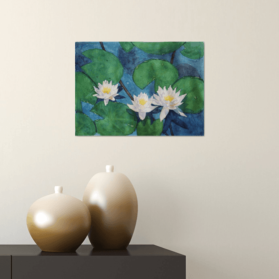 Water lily. White Lotus Flowers. Pond