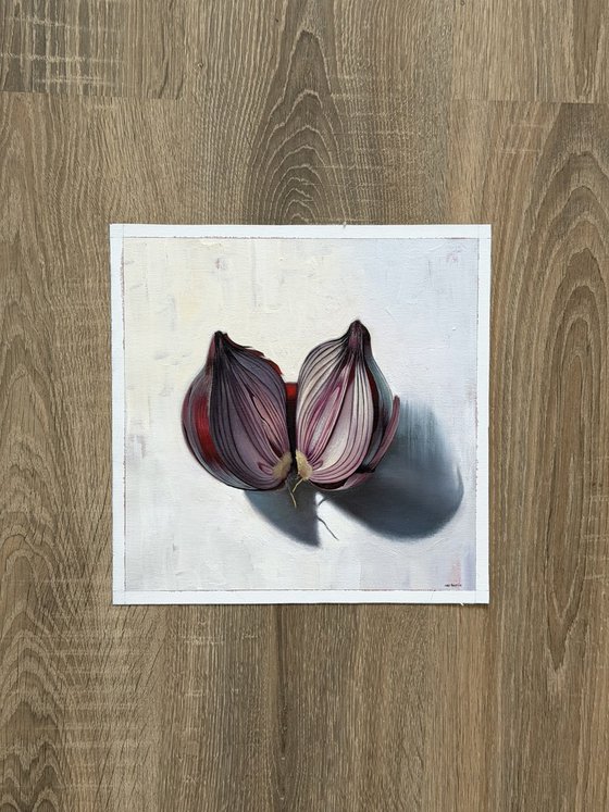 Onion. Still life