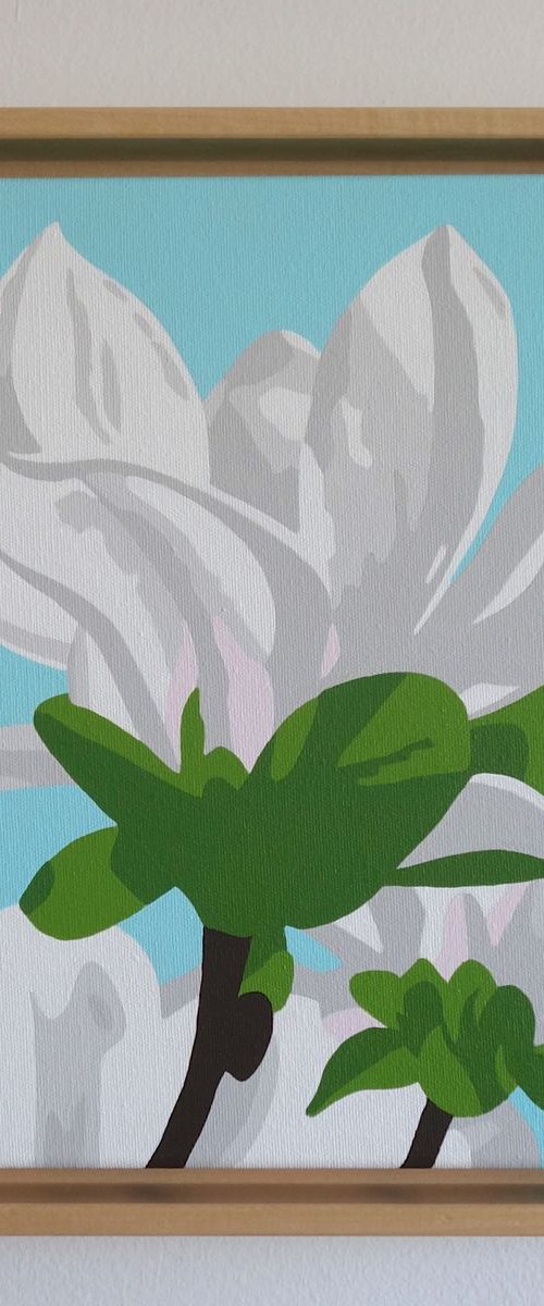 White Magnolia by Susan Porter