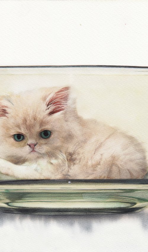 Cute Kitten in Glass Cup by REME Jr.