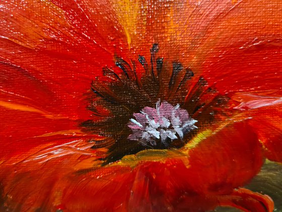 Poppies